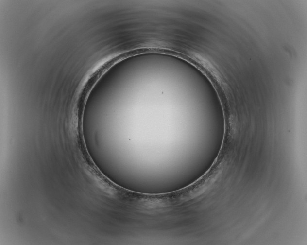 X0000115600931200911101402
