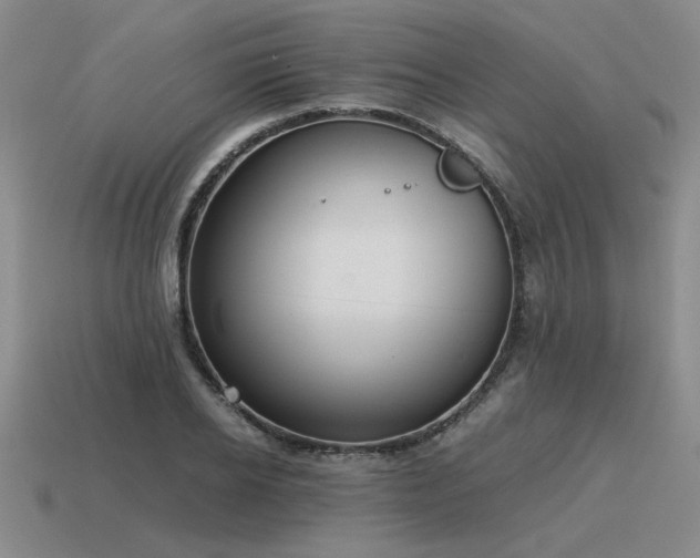X0000115600934200911101403