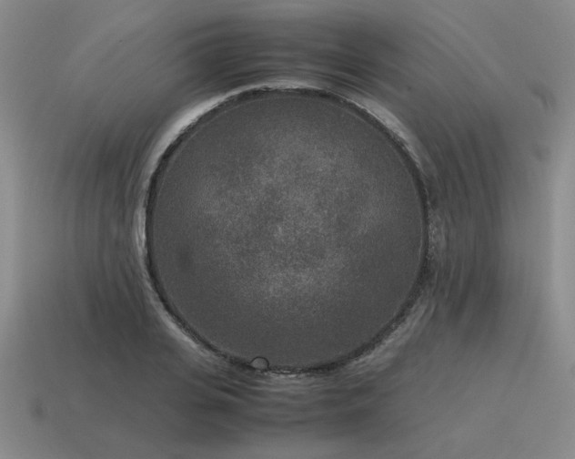 X0000115600935200911101403