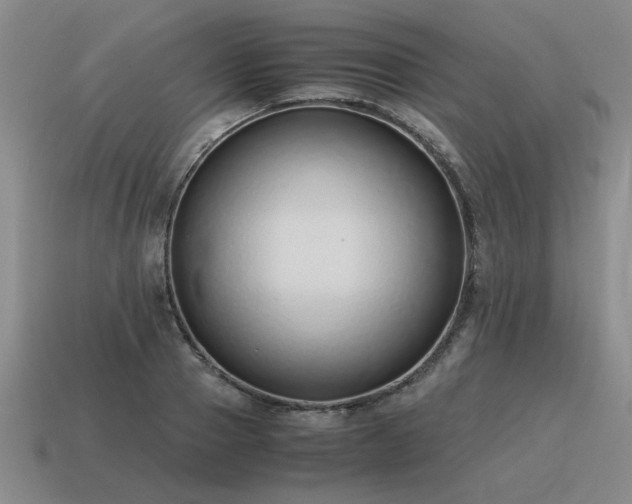 X0000115600937200911101403