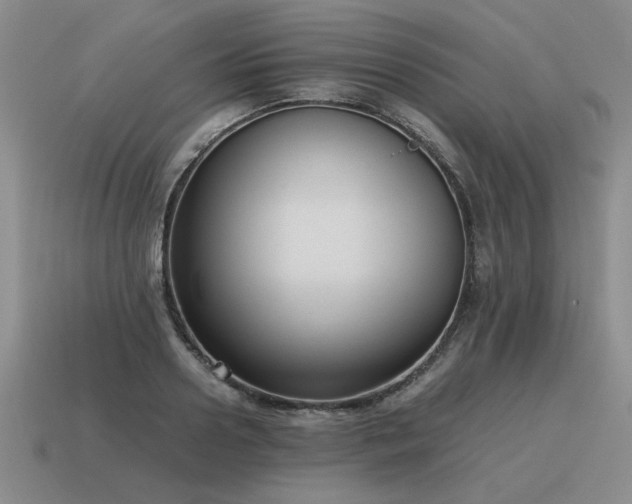 X0000115600938200911101403