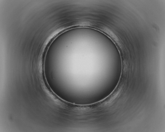 X0000115600939200911101403