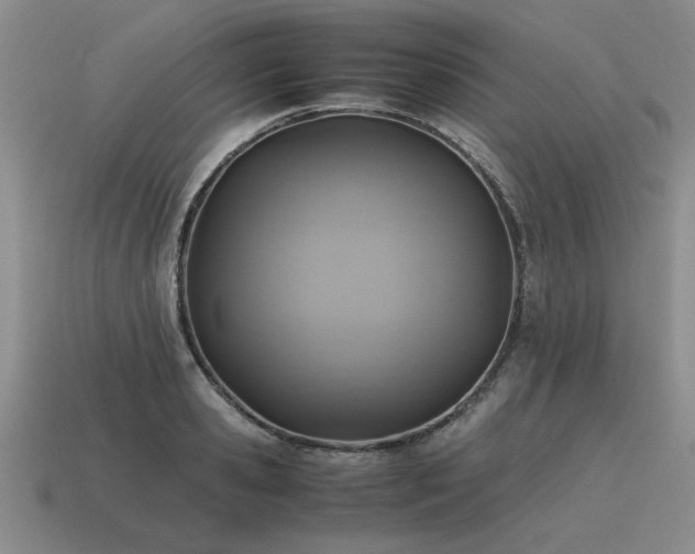 X0000115600941200911101403