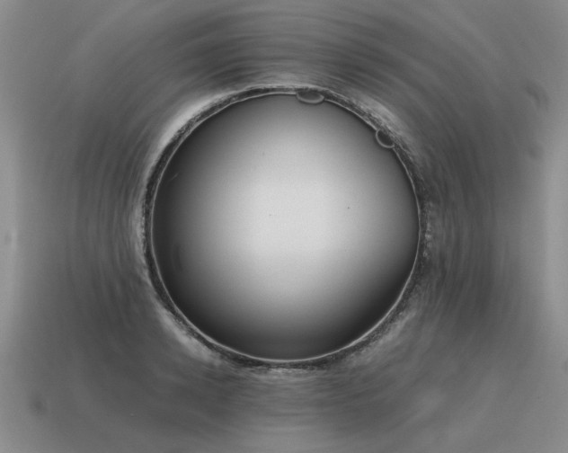 X0000115600942200911101403