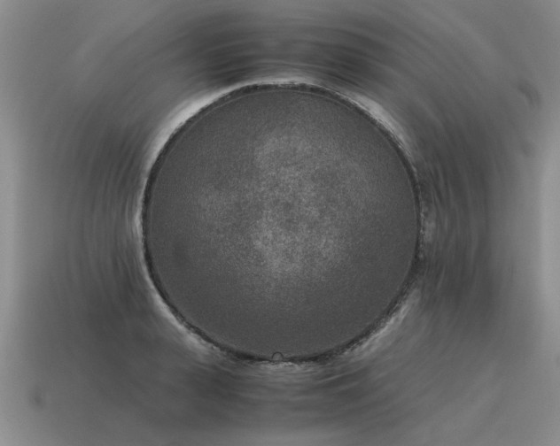 X0000115600943200911101403