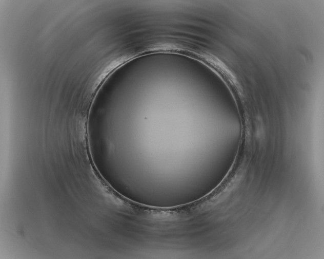 X0000115600945200911101403