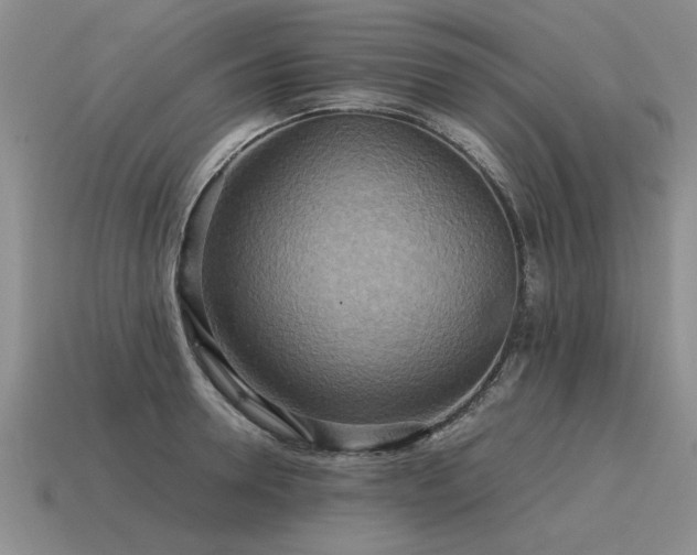 X0000115600946200911101403