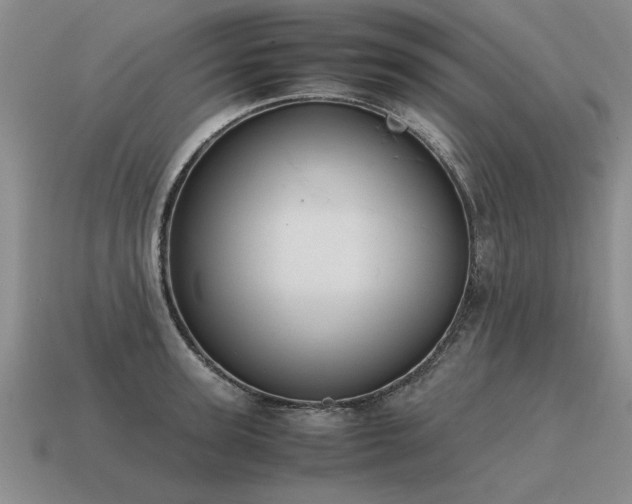 X0000115600947200911101403