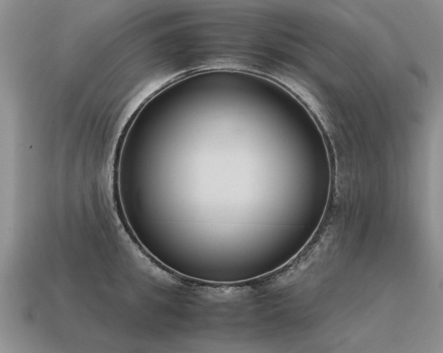 X0000115600949200911101403