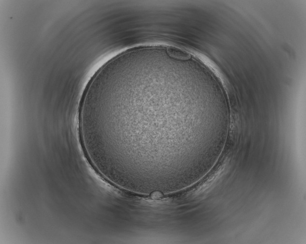 X0000115600951200911101403