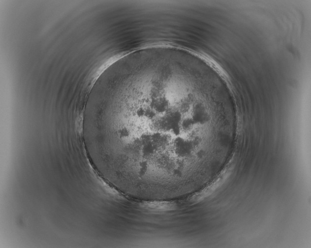X0000115600953200911101403