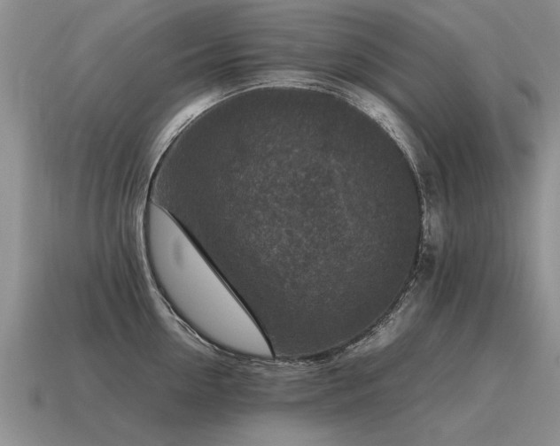 X0000115600954200911101403