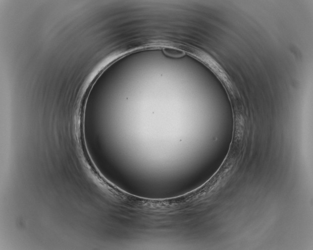 X0000115600955200911101403