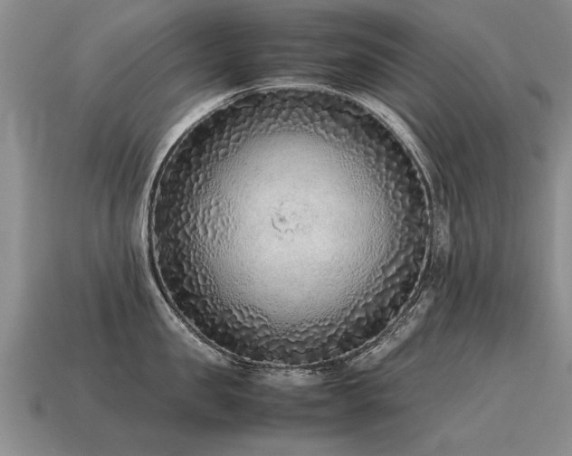 X0000115600957200911101403