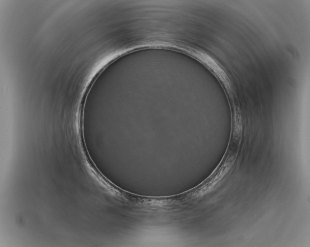 X0000115600958200911101403