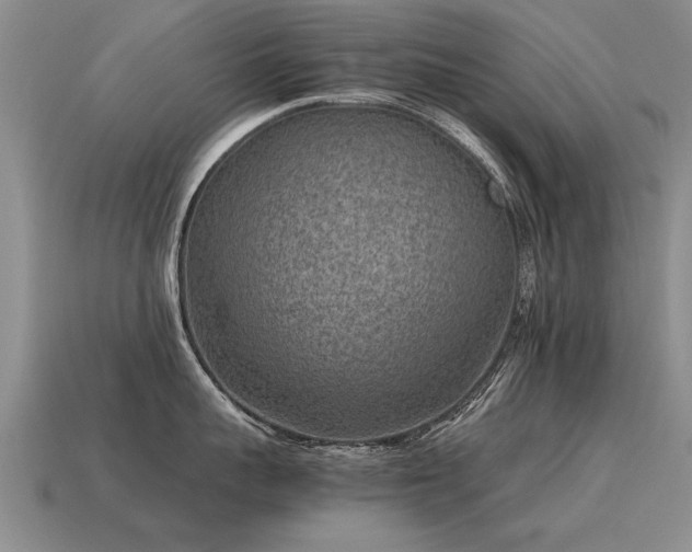 X0000115600959200911101403