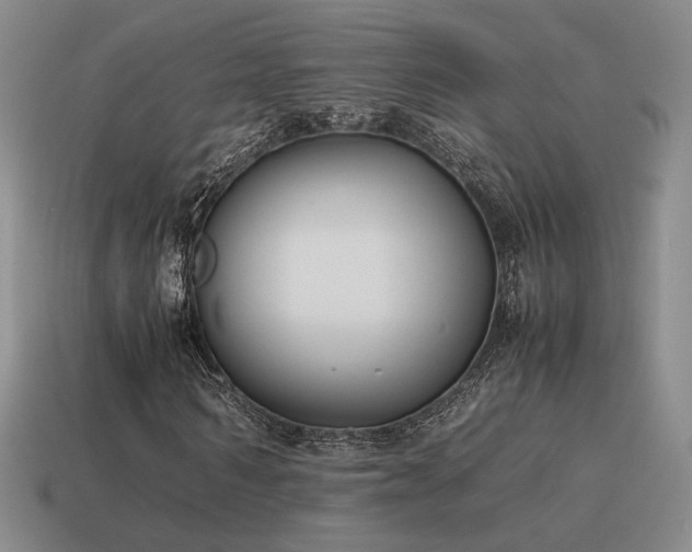 X0000115600962200911101402