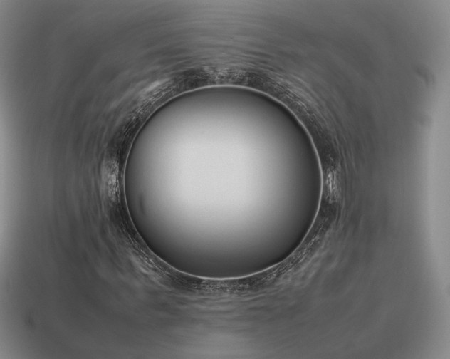X0000115600963200911101402