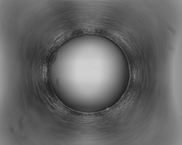 X0000115600964200911101402