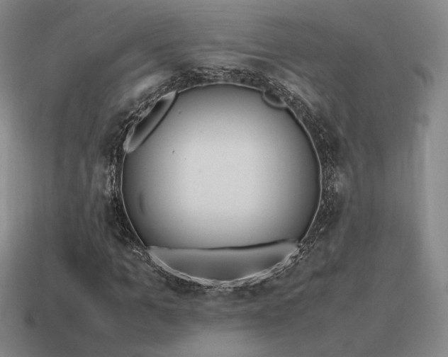 X0000115600965200911101402