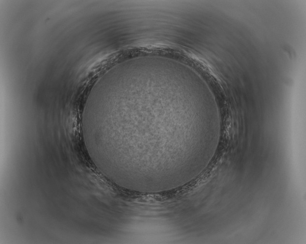 X0000115600966200911101402