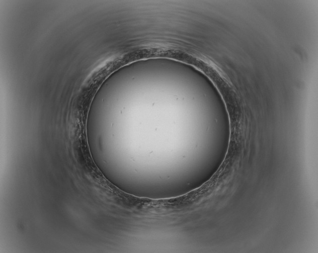 X0000115600967200911101402