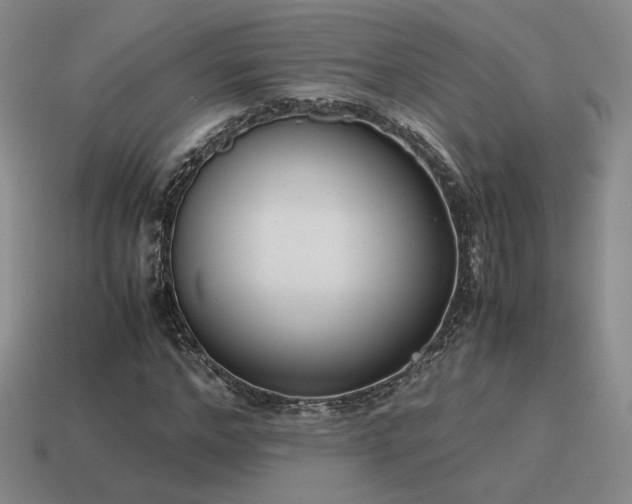 X0000115600968200911101402