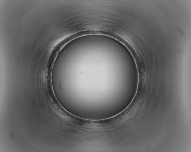 X0000115600971200911101402