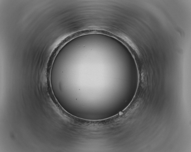 X0000115600972200911101402