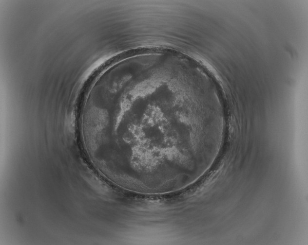 X0000115600975200911101402