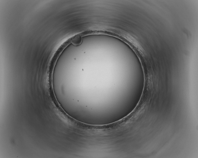 X0000115600976200911101402