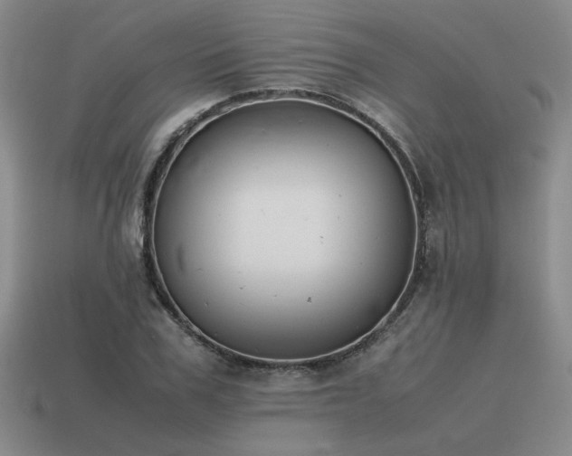 X0000115600979200911101402
