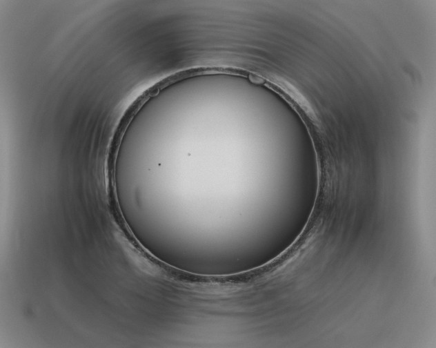 X0000115600980200911101402