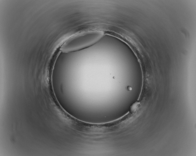 X0000115600981200911101402