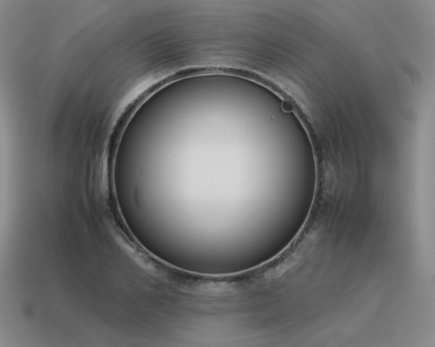 X0000115600982200911101402