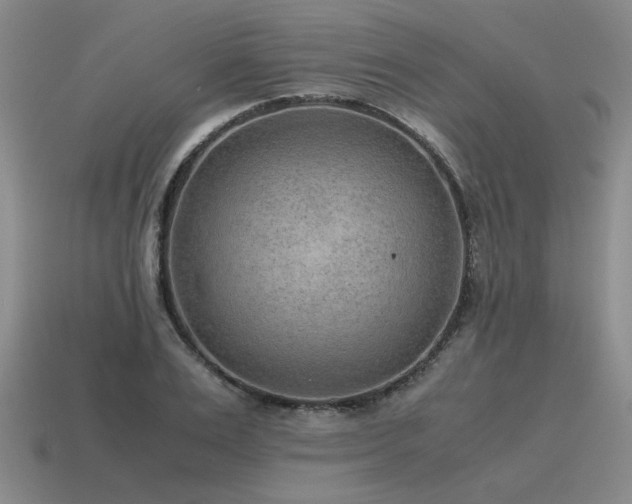 X0000115600983200911101402