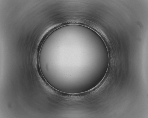 X0000115600984200911101402