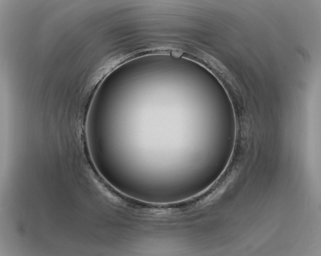 X0000115600985200911101402