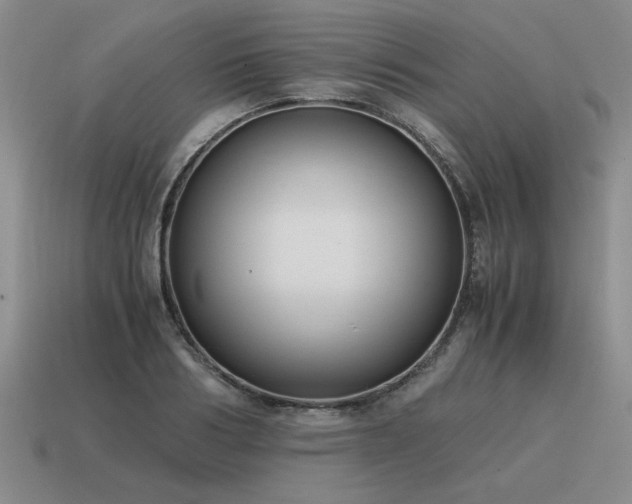 X0000115600986200911101402