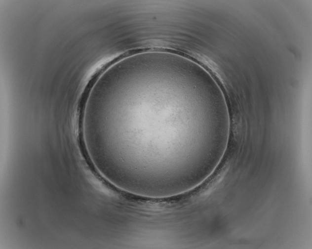 X0000115600987200911101402