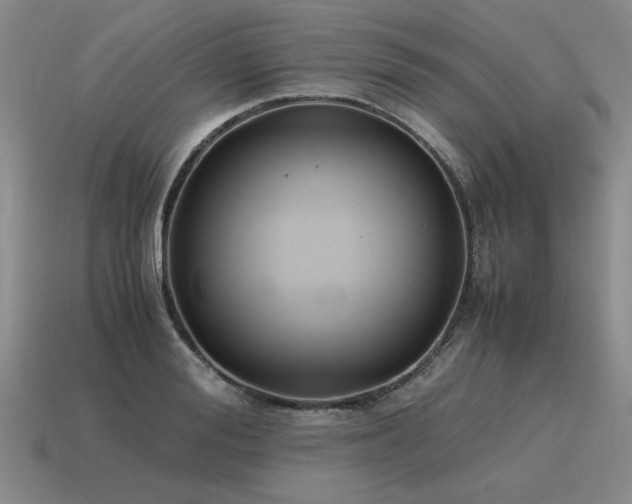X0000115600988200911101402