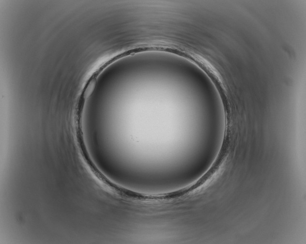 X0000115600989200911101402