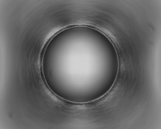 X0000115600990200911101402