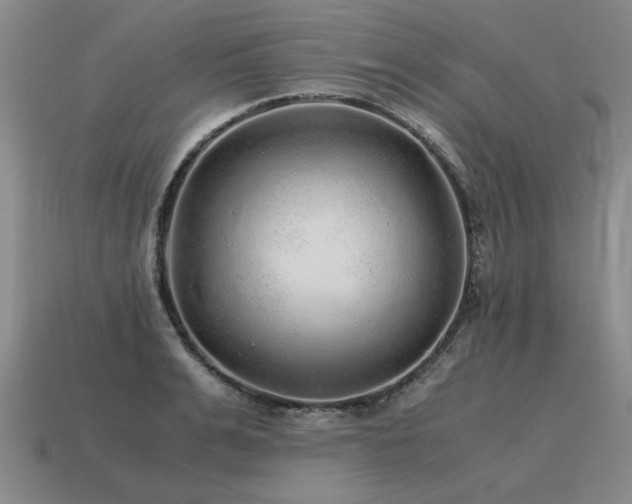 X0000115600991200911101402