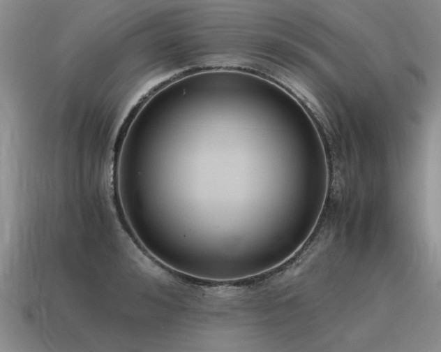 X0000115600992200911101402