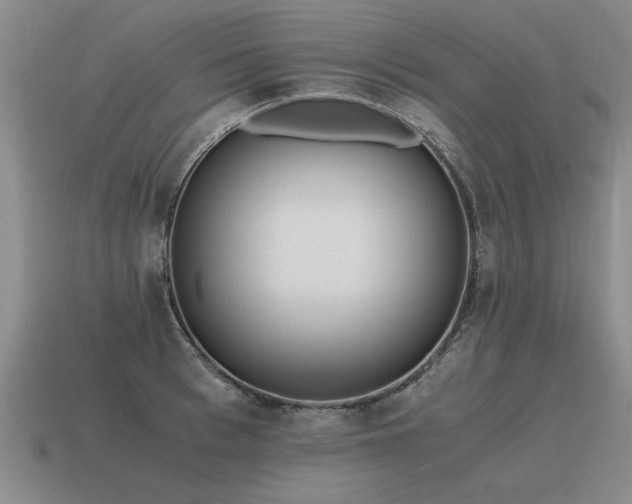 X0000115600993200911101402