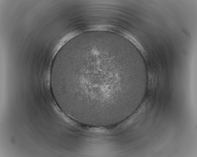 X0000115600994200911101402