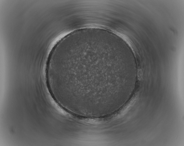 X0000115600995200911101402