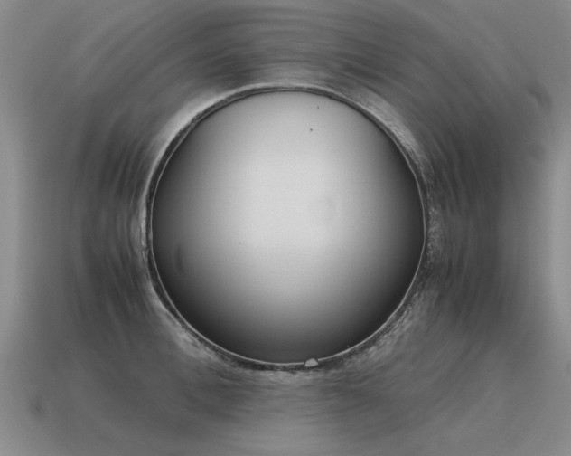 X0000115600996200911101402