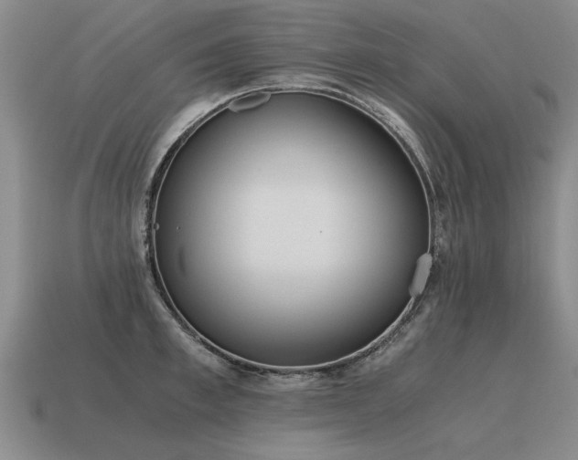 X0000115600997200911101402